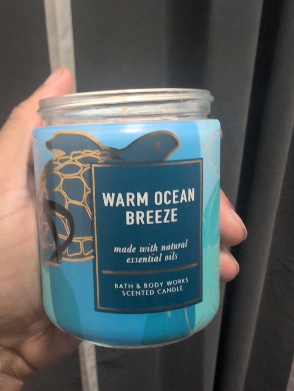 Bath & Body Works Warm Ocean Breeze Candle - Teal & Blue